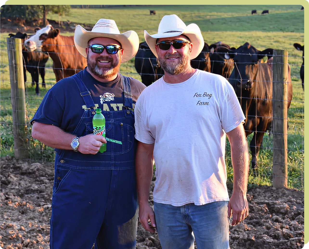 Two men smiling in front of cows