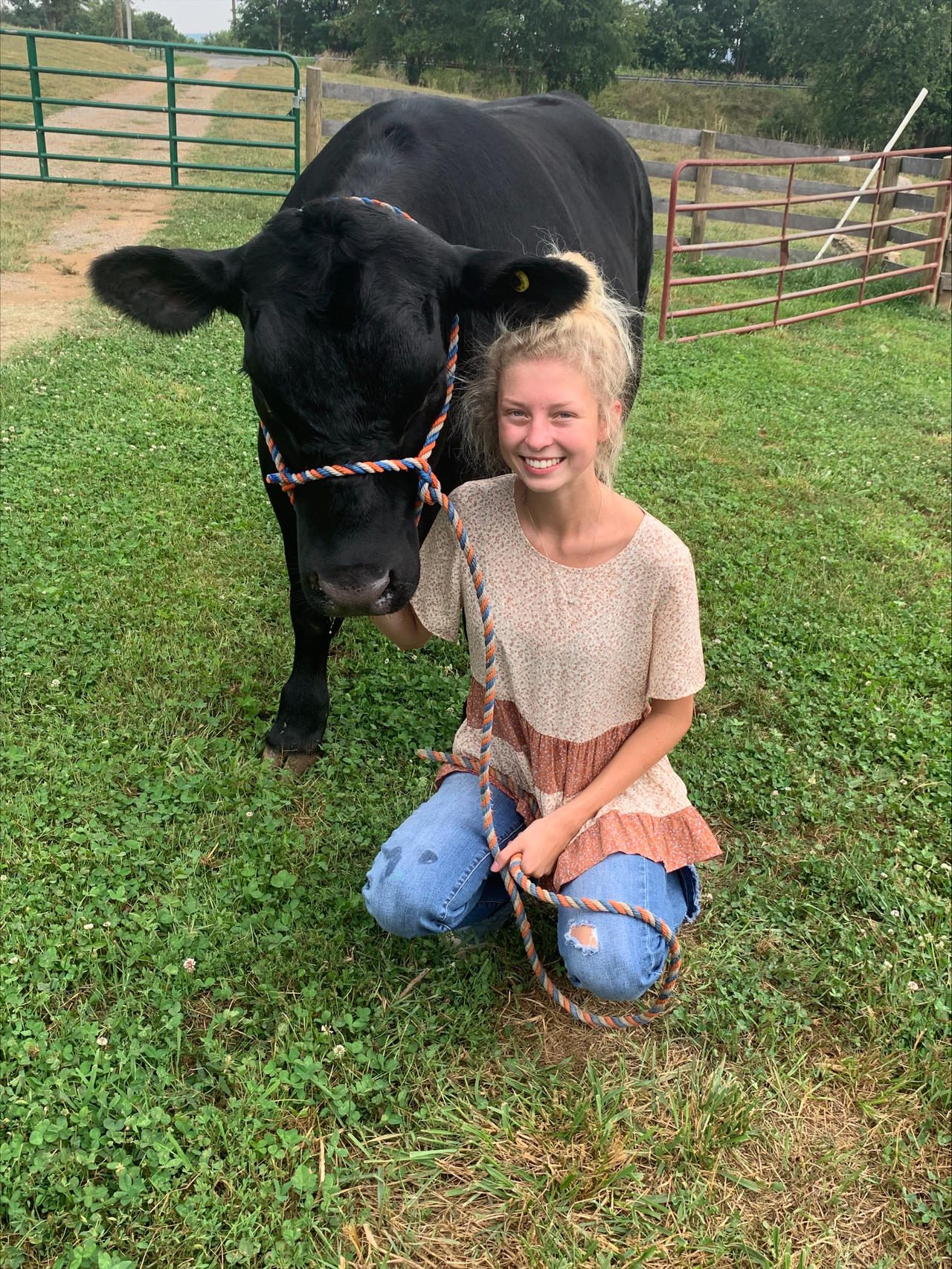 A smiling girl kneeling next to a black cow on green grass.
