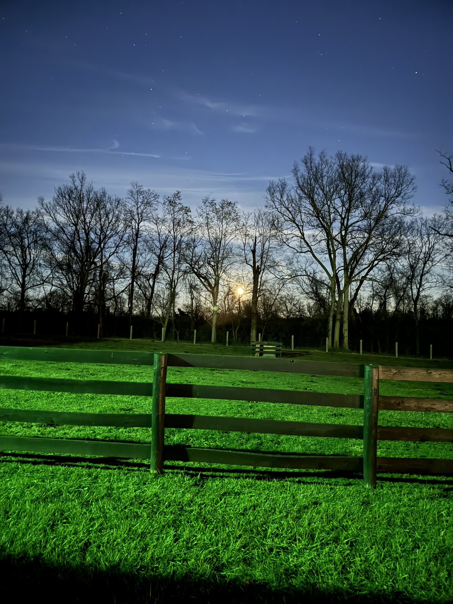 Sunset behind leafless trees and a green field with a wooden fence.