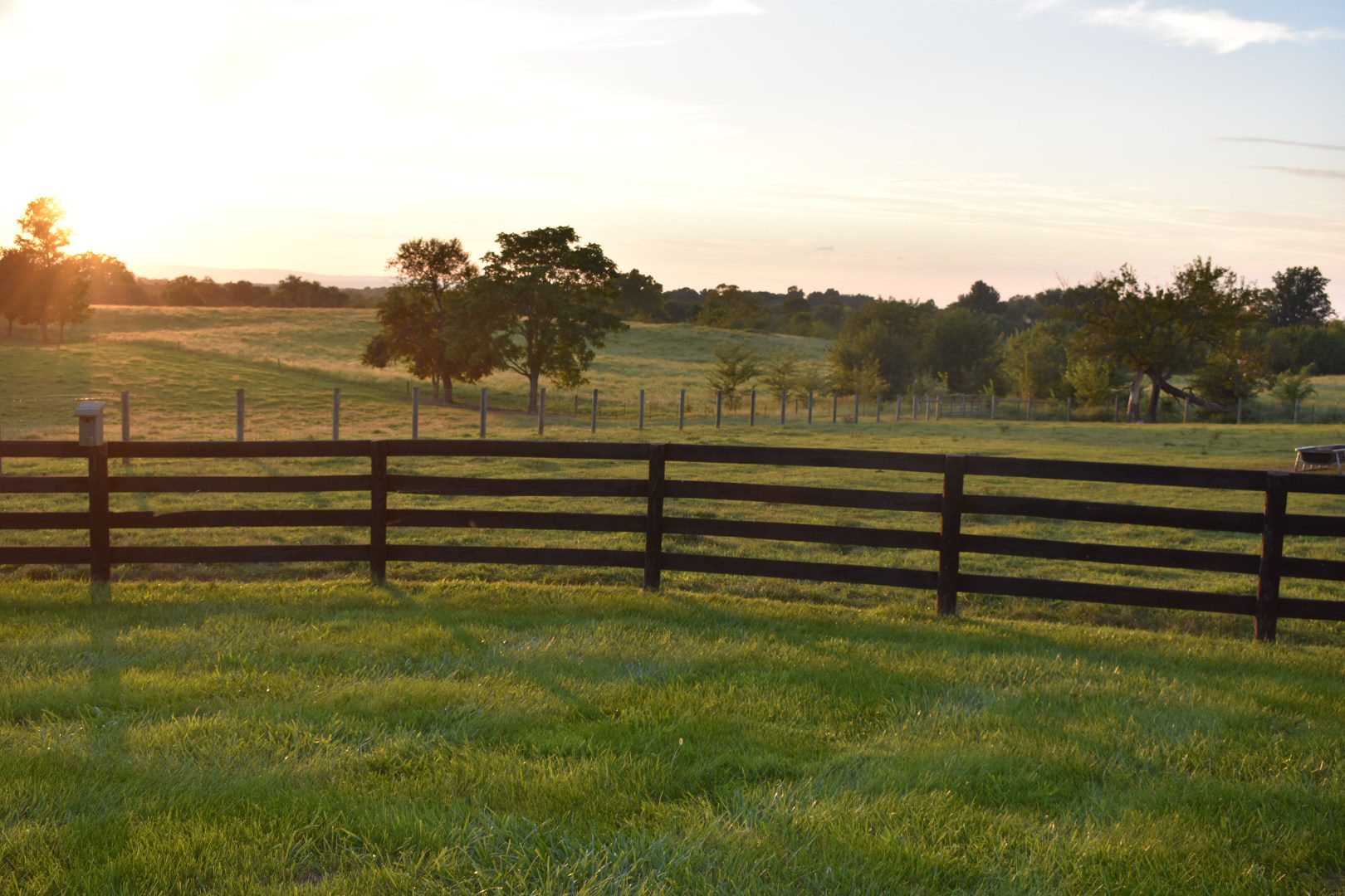 Peaceful rural landscape with wooden fence and trees at sunset.