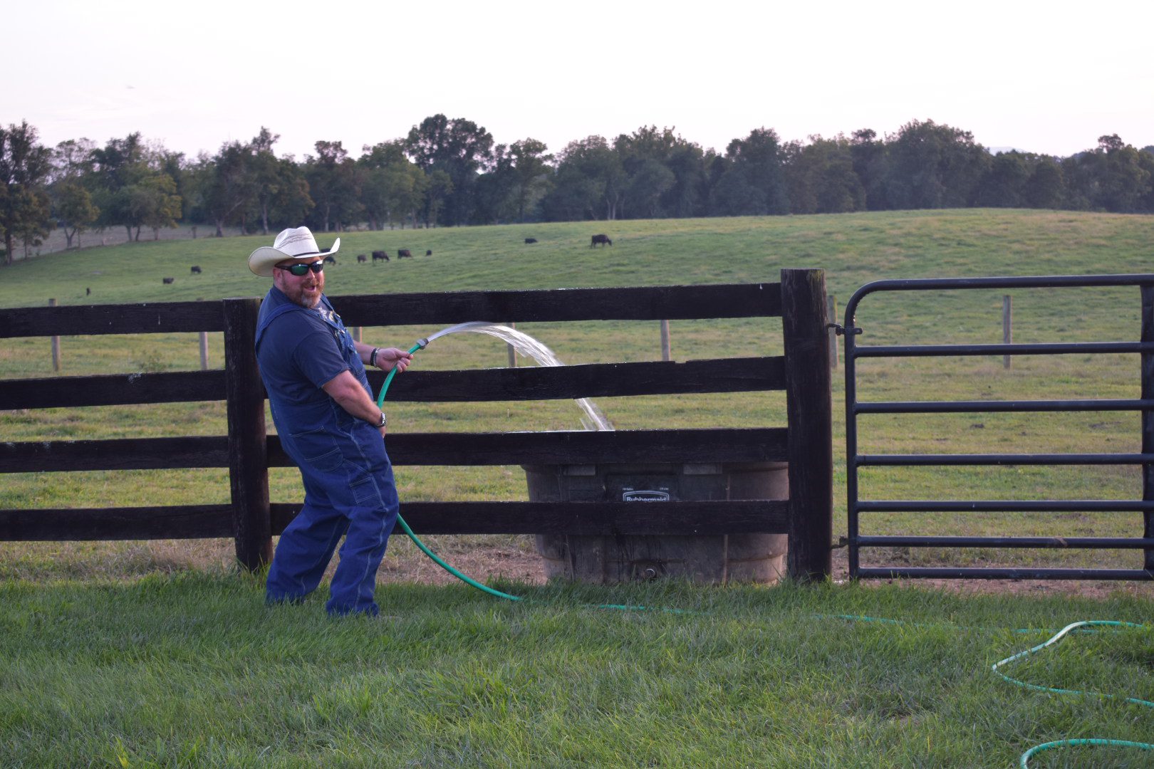 Man in blue outfit pouring water over a wooden fence in a grassy field.