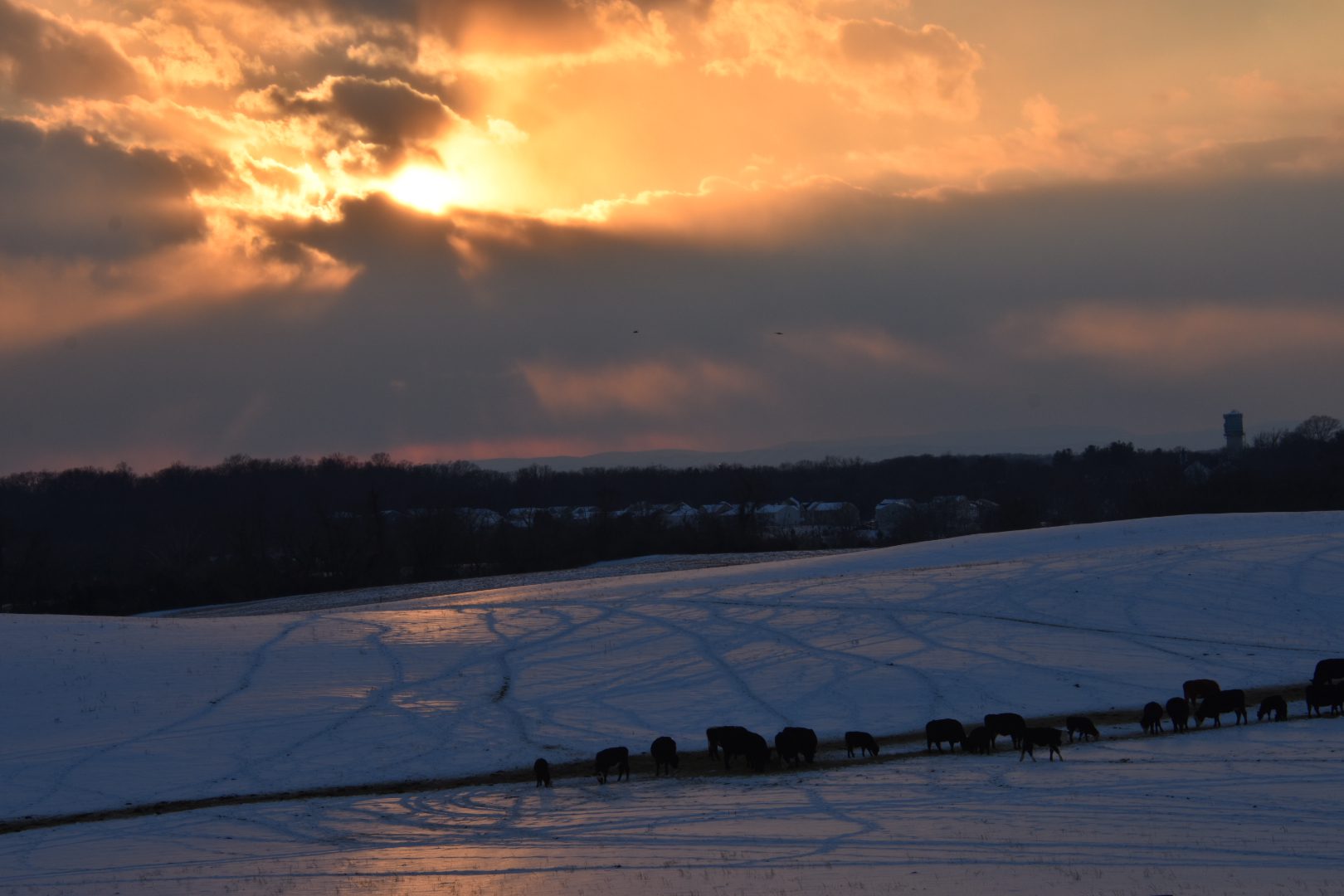 Sunset casting golden light over a snow-covered field and distant hills.