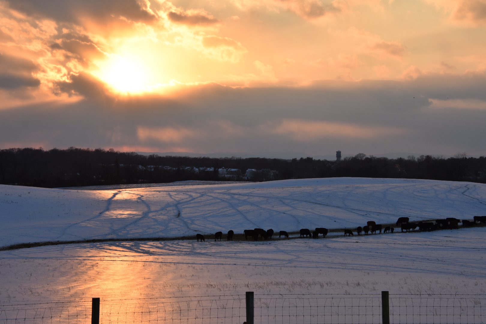 Sunset over a snowy field with a reflective water body in the foreground.