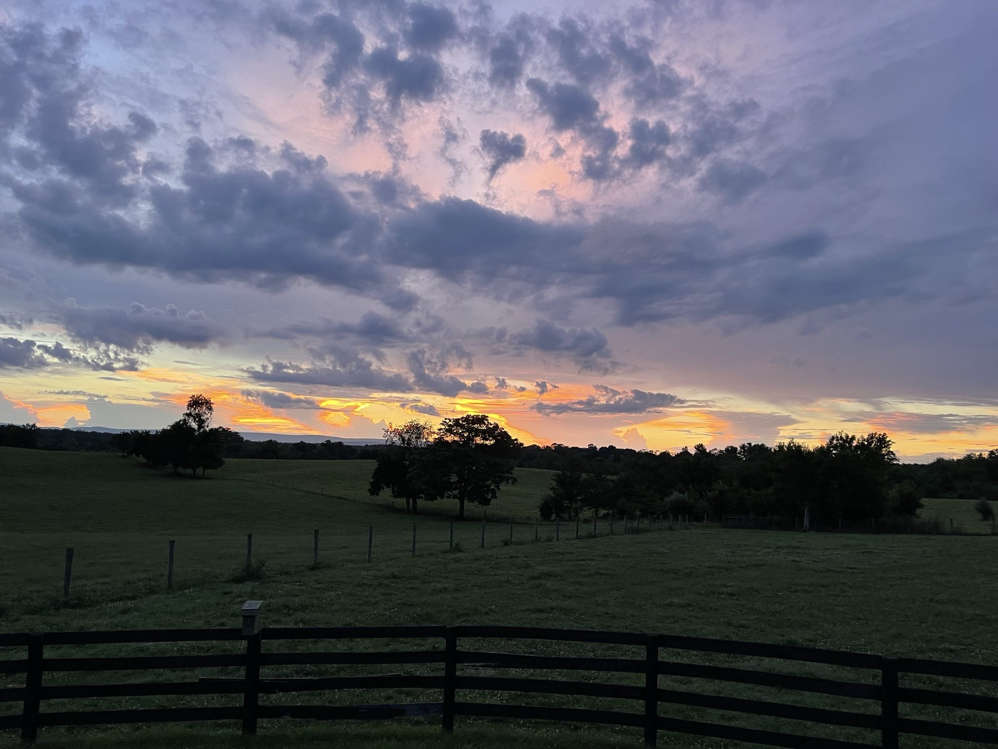 A serene sunset over a fenced green field with scattered trees.
