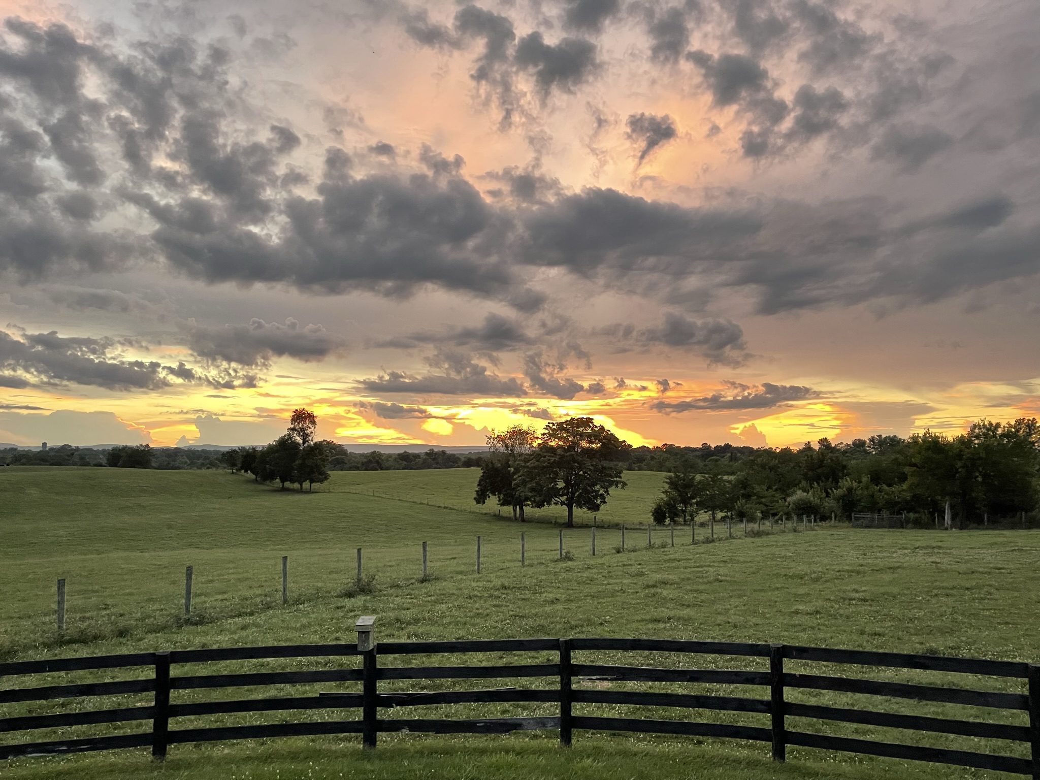 Sunset over a fenced rural field with scattered trees.