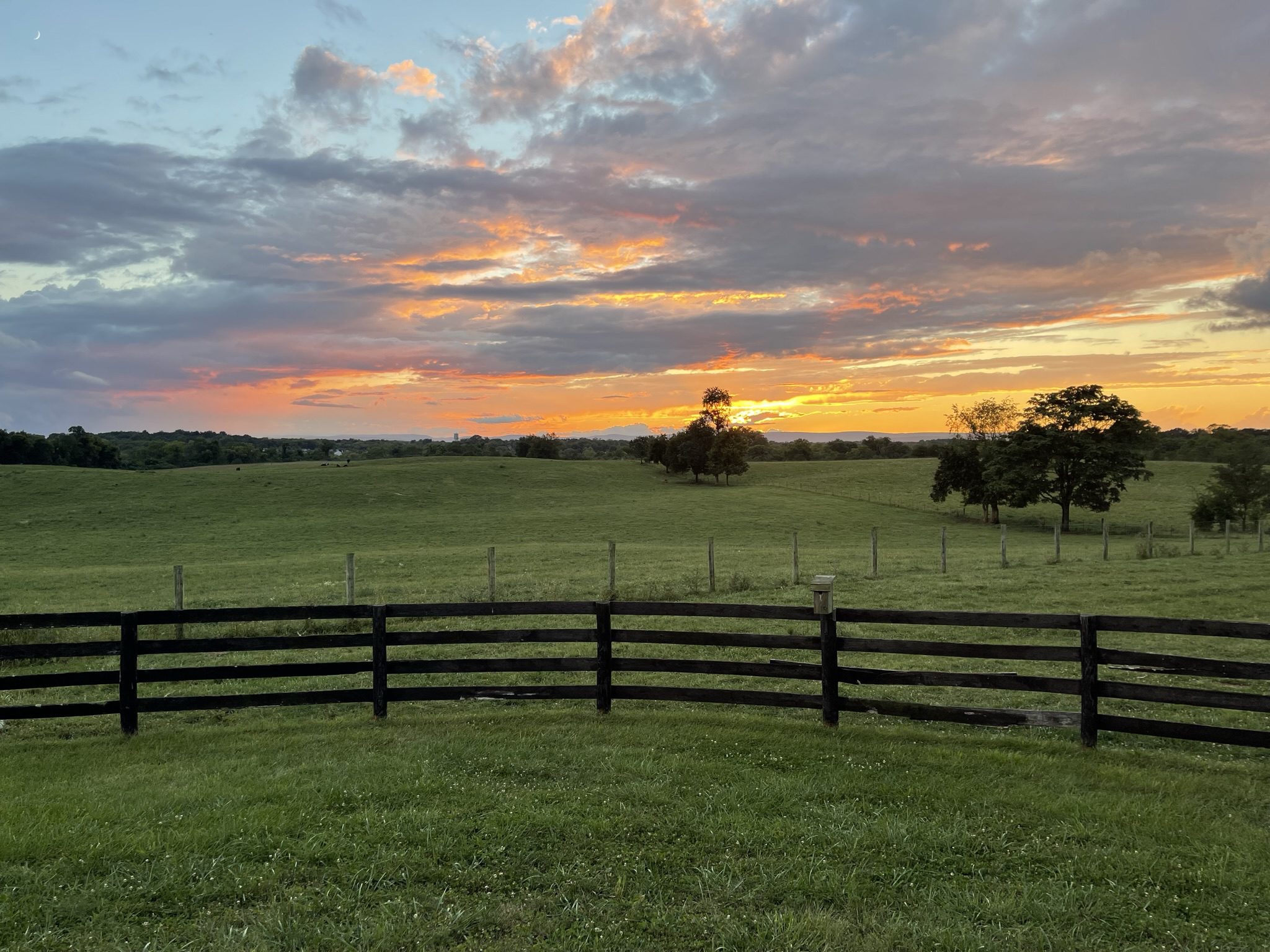 Sunset over a fenced green pasture with scattered trees.