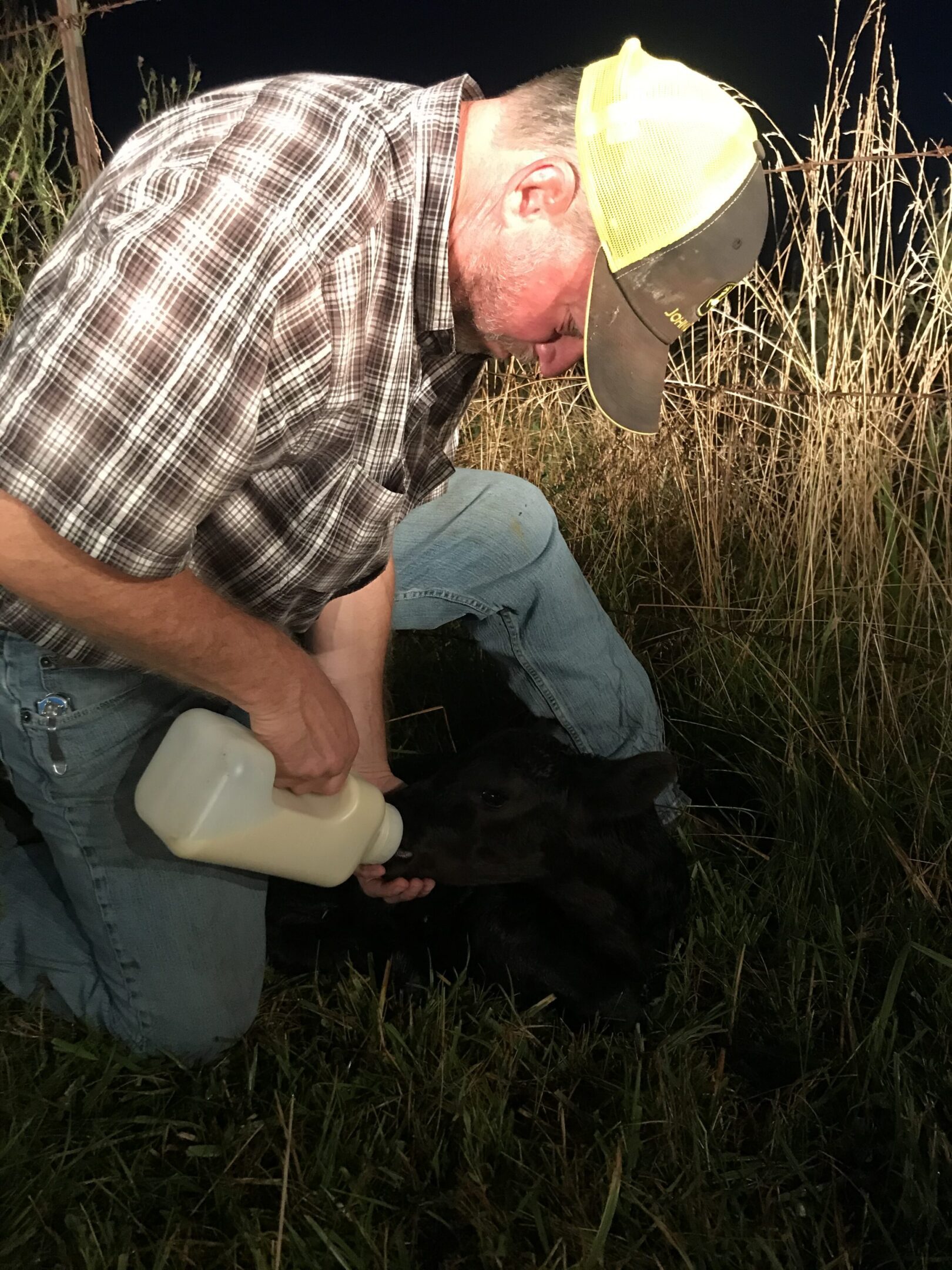 Man feeding a black calf with a bottle outdoors at night.